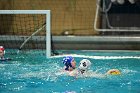 WWPolo vs CC  Wheaton College Women’s Water Polo compete in their sports inaugural match vs Connecticut College. - Photo By: KEITH NORDSTROM : Wheaton, water polo, inaugural